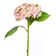 Цветок искусственный  CQ-23  49см  (+розовый, белый, красный)
