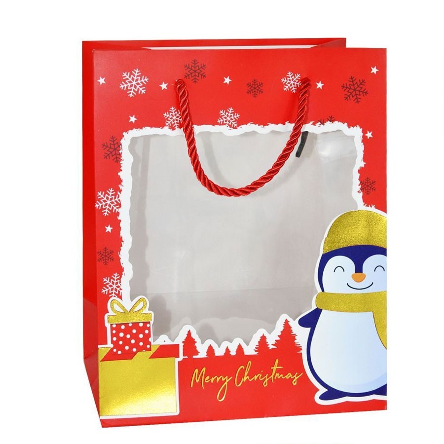 Пакет подарочный GB25-0007 18х23х10см