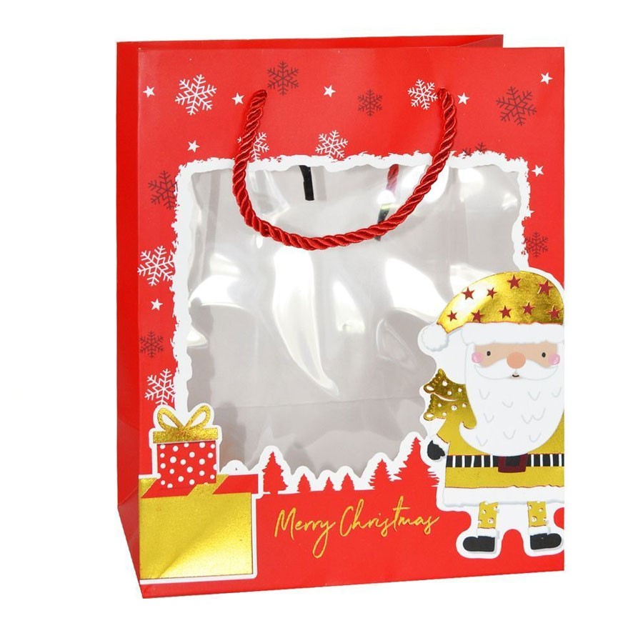 Пакет подарочный GB25-0007 18х23х10см