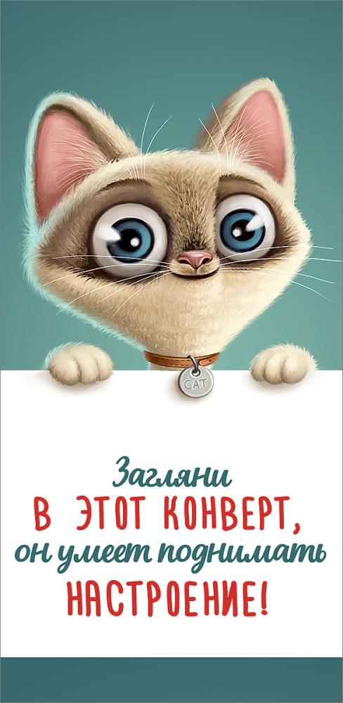 Конверт для денег 410 Загляни в этот конверт, он умеет поднимать настроение! 2901871