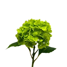 Цветок искусственный  TM-131 49СМ