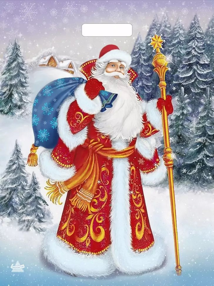 Мешок с ручками Желанный гость 47,5х39, 60мкм н00148663