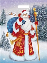 Мешок с ручками Желанный гость 47,5х39, 60мкм н00148663