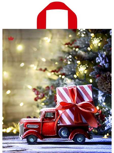 Мешок с ручками Доставка чудес 42х38см, 37мкм н00267332