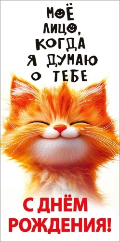 Конверт для денег 410 С днём рождения! (рыжий кот) 1.0000966