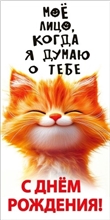 Конверт для денег 410 С днём рождения! (рыжий кот) 1.0000966