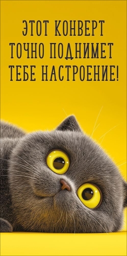 Конверт для денег 410 Этот конверт точно поднимет тебе настроение! 5.0002364