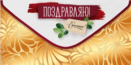 Конверт для денег 445 Поздравляю! 30000883