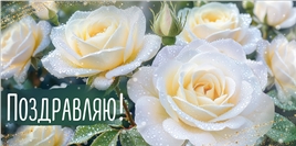 Конверт для денег 425 Поздравляю! (белые розы) 30001796